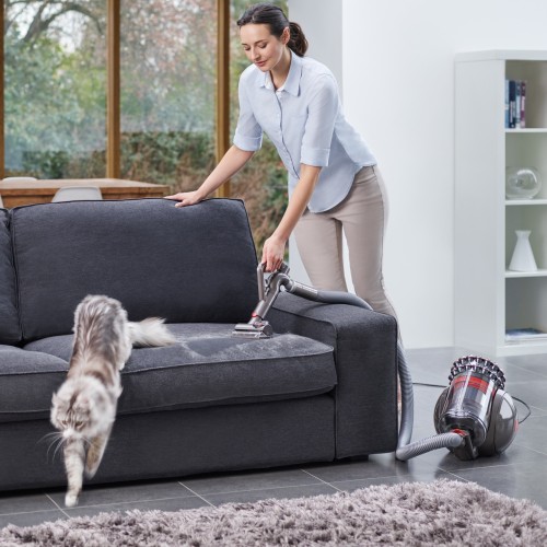Пылесос проводной Dyson Cinetic Big Ball Absolute 2